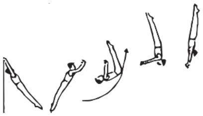 Skill 13