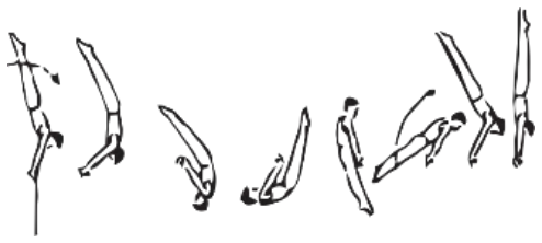 Skill 8