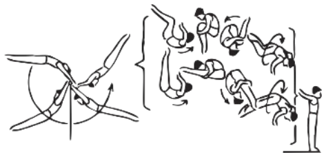 Skill 9