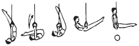 Skill 8