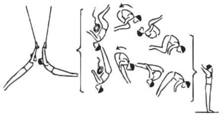 Skill 32