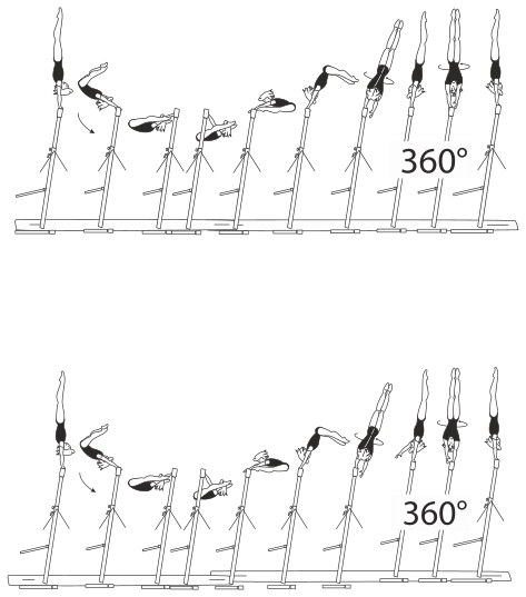 Skill 4.503
