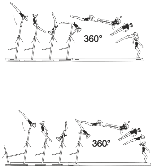 Skill 6.309